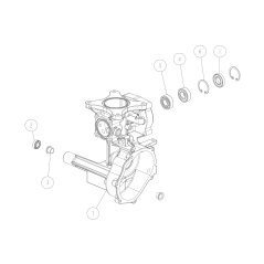 Boîte de transmission ORIGINALE OREC L O0202-00800 | NewgardenParts.com