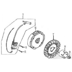 Original MGF AGR8210570 electronic coil