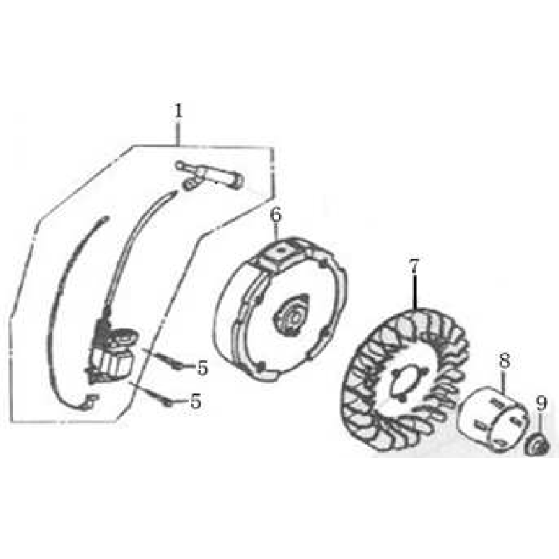 Original MGF AGR8210570 electronic coil