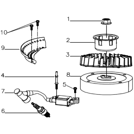 Bobina AGR8205060 ORIGINALE MGF | NewgardenParts.com