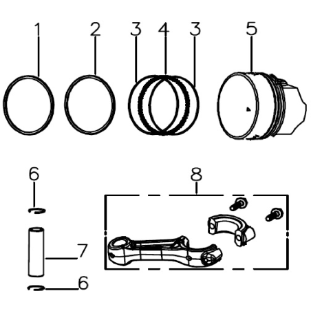 Ölabstreifring AGR8205530 ORIGINAL MGF | NewgardenParts.com