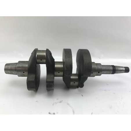 Crankshaft STANDARD diesel engine LOMBARDINI 5LD825-2 1050.190 | NewgardenParts.com