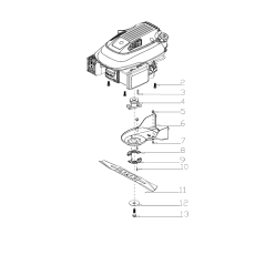 Cache-courroie d'origine MGF AGR8201660 | NewgardenParts.com