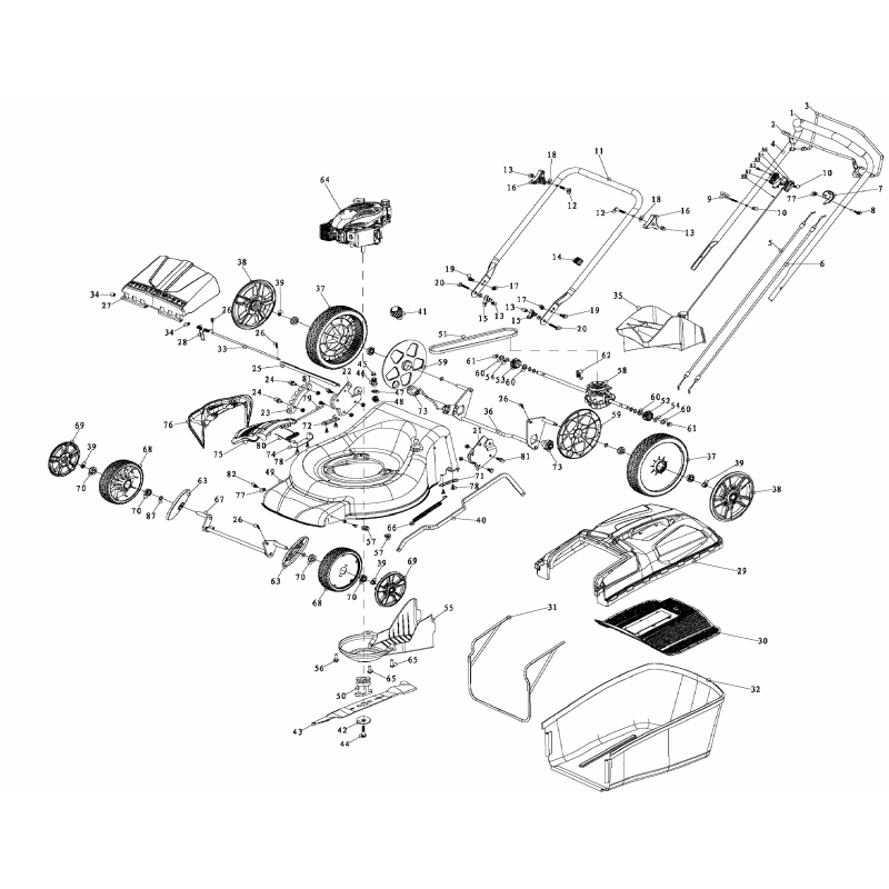 Gato derecho AGR8004380 ORIGINAL MGF
