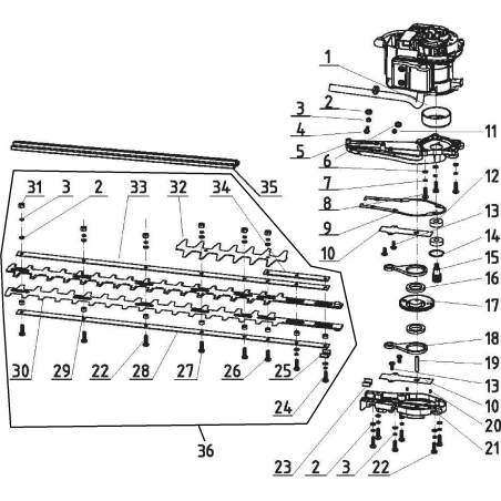 Vite M6x22 AGR2451080 ORIGINALE MGF | NewgardenParts.com