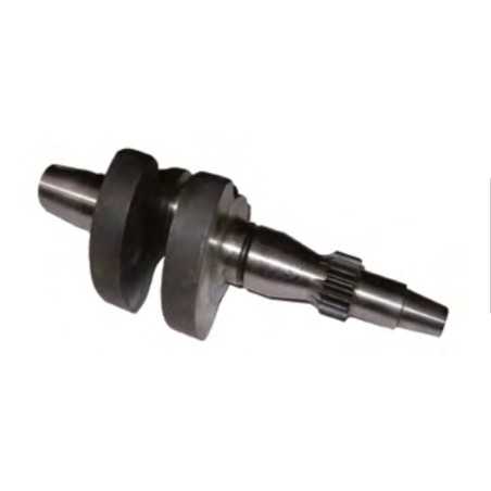 Kurbelwelle STANDARD DIESEL RUGGERINI RF80 RF90 012.50 130116A | NewgardenParts.com