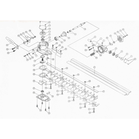 Spring AGRG003000150 ORIGINAL MGF | NewgardenParts.com