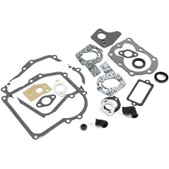 Original BRIGGS & STRATTON lawn mower engine gasket set 495605