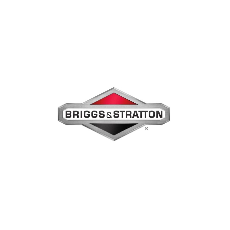 Serie segmenti normale ORIGINALE BRIGGS & STRATTON 298982