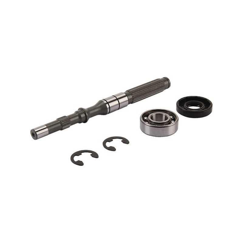 Set albero pompa/cuscinetto 1A646099960 ORIGINALE TUFF TORQ