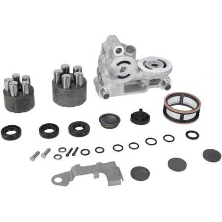 Repair Kit (without oil or sealant) 1A646098400DA GENUINE TUFF TORQ | NewgardenParts.com