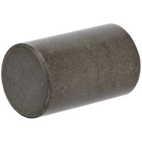 Pignone differenziale 1A632031810 ORIGINALE TUFF TORQ | NewgardenParts.com