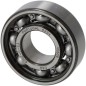 Rodamiento 6202-C-C3 (TT1A646034770) 1A646034790 GENUINE TUFF TORQ Rodamiento 6202-C-C3 (TT1A646034770) 1A646034790 GENUINE TUFF TORQ