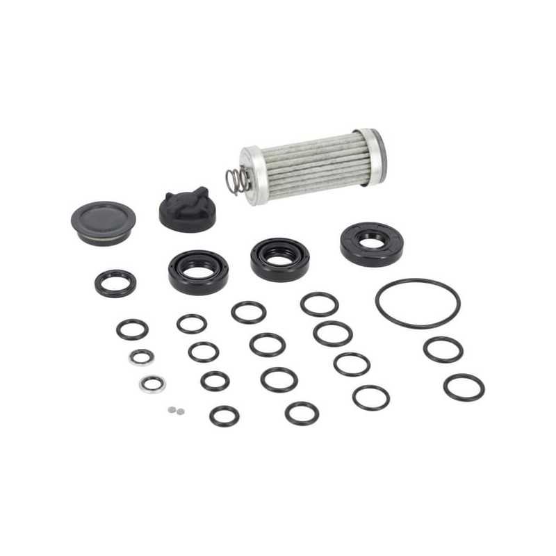 Repair Kit (without oil or sealant) 1A646099220DA GENUINE TUFF TORQ