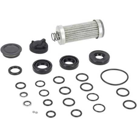 Kit de réparation (sans huile ni mastic) 1A646099220DA GENUINE TUFF TORQ | NewgardenParts.com