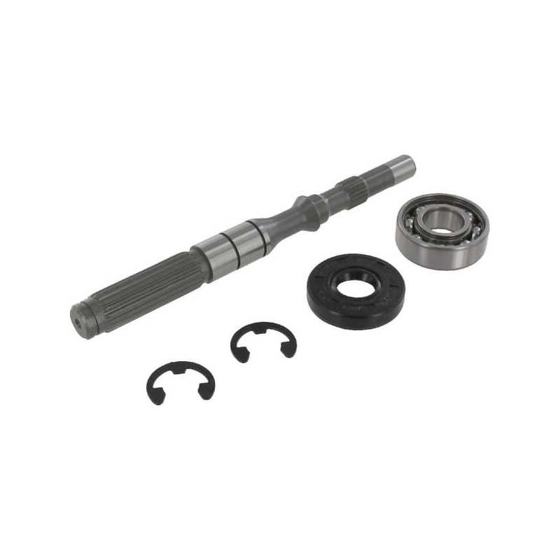 Set albero pompa/cuscinetto 1A646099950 ORIGINALE TUFF TORQ