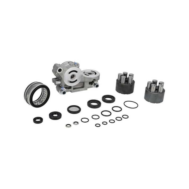 Repair Kit (without oil or sealant) 1A632099231DA GENUINE TUFF TORQ