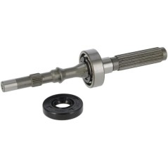 Set albero pompa/cuscinetto 1A646099970 ORIGINALE TUFF TORQ | NewgardenParts.com