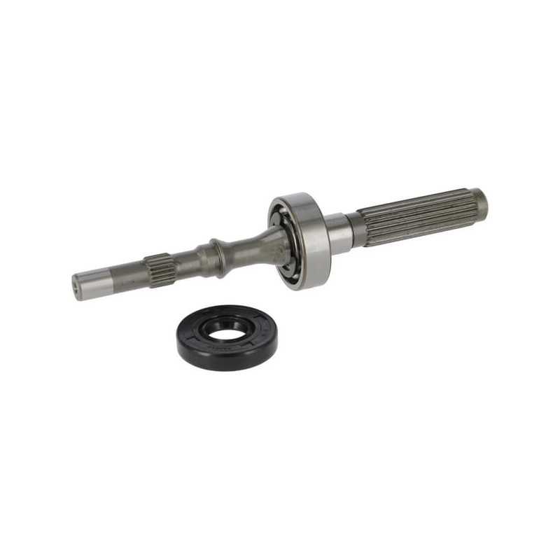 Ensemble arbre/roulements de pompe authentique TUFF TORQ 1A646099970