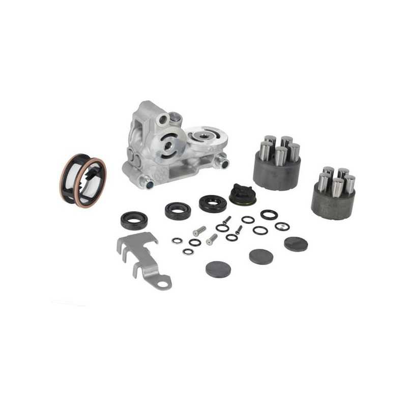 Kit de réparation (sans huile ni mastic) 1A646098280DA GENUINE TUFF TORQ