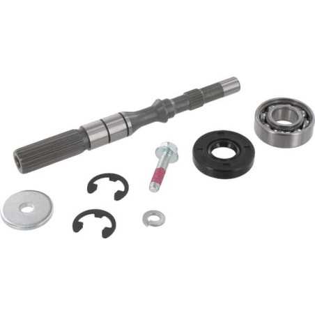 GENUINE TUFF TORQ 1A646099980 Pump Shaft/Bearing Set | NewgardenParts.com
