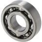 Cuscinetto 6203 24101062034 ORIGINALE TUFF TORQ Cuscinetto 6203 24101062034 ORIGINALE TUFF TORQ