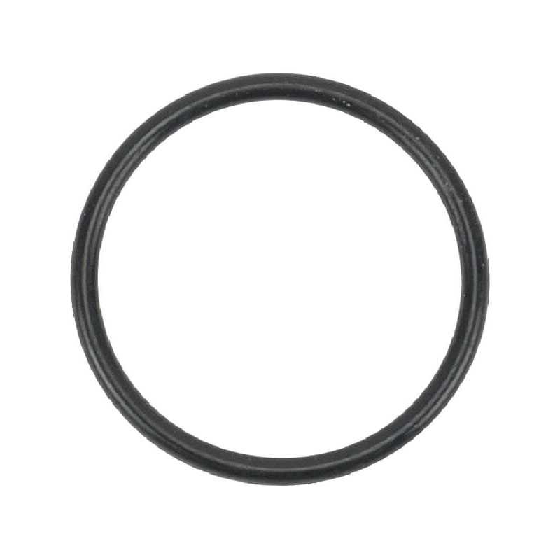 O-ring s26.0 24341000260 ORIGINALE TUFF TORQ