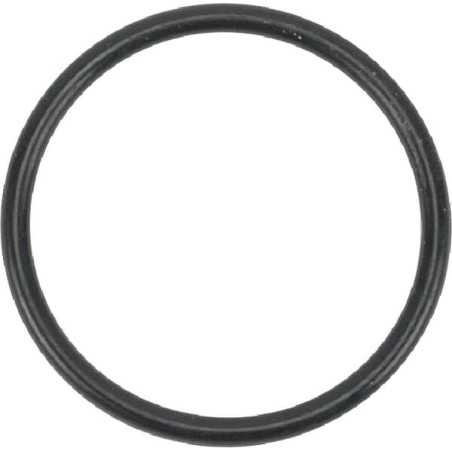 O-ring s26.0 24341000260 ORIGINAL TUFF TORQ | NewgardenParts.com
