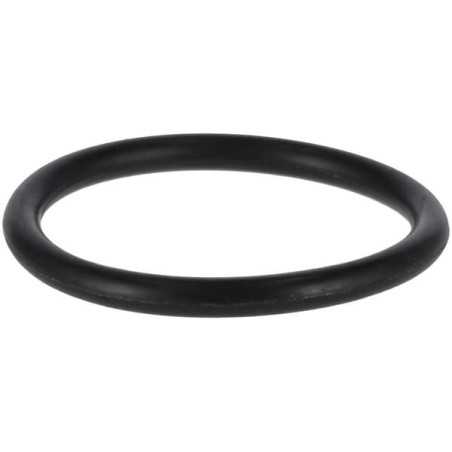 P32 O-ring 24311000320 ORIGINAL TUFF TORQ | NewgardenParts.com