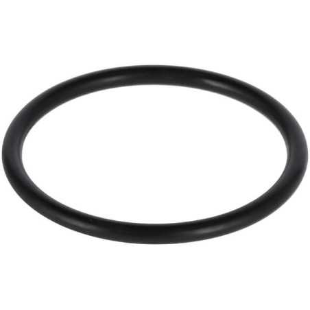 O-ring 1A G40.0 24321000400 ORIGINAL TUFF TORQ | NewgardenParts.com