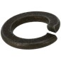 Spring washer 10 22217100000 ORIGINAL TUFF TORQ