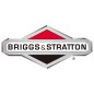 Arbre moteur tondeuse BRIGGS & STRATTON 495796