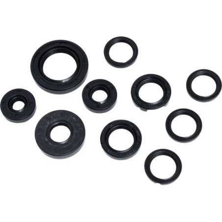 Kit de juntas Hydro-Gear 70312HYD original | NewgardenParts.com