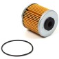 Kit de filtration 71943HYD ORIGINAL Hydro-Gear Kit de filtration 71943HYD ORIGINAL Hydro-Gear