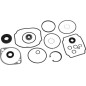 Hydro-Gear 70525HYD Genuine Overhaul Gasket Kit