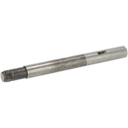 Assale P774182 ORIGINALE Peerless | NewgardenParts.com