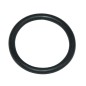 O-ring P788051A ORIGINALE Peerless