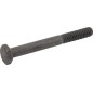 Screw 1/4-20x2-1/4 P792020 ORIGINAL Peerless