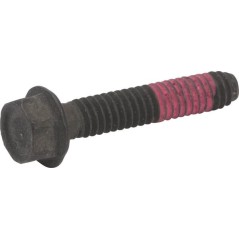 Schraube P792177 ORIGINAL Peerless | NewgardenParts.com