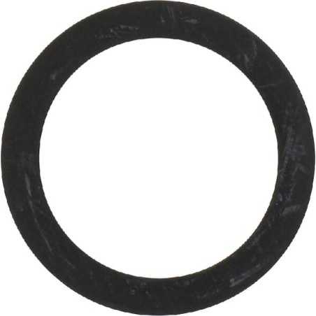Rondella P788066 ORIGINALE Peerless | NewgardenParts.com