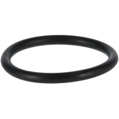 O-Ring P788077 ORIGINAL Peerless | NewgardenParts.com