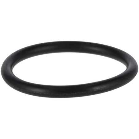 O-Ring P788077 ORIGINAL Peerless | NewgardenParts.com