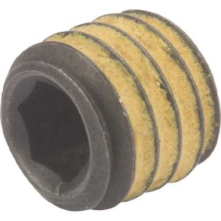 Schraube P792078 ORIGINAL Peerless | NewgardenParts.com