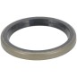 Paraolio 1" P788007 ORIGINALE Peerless