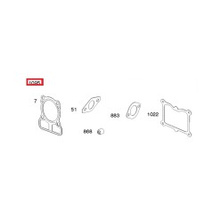 Set guarnizioni originali motore rasaerba tagliaerba BRIGGS & STRATTON 793694 | NewgardenParts.com