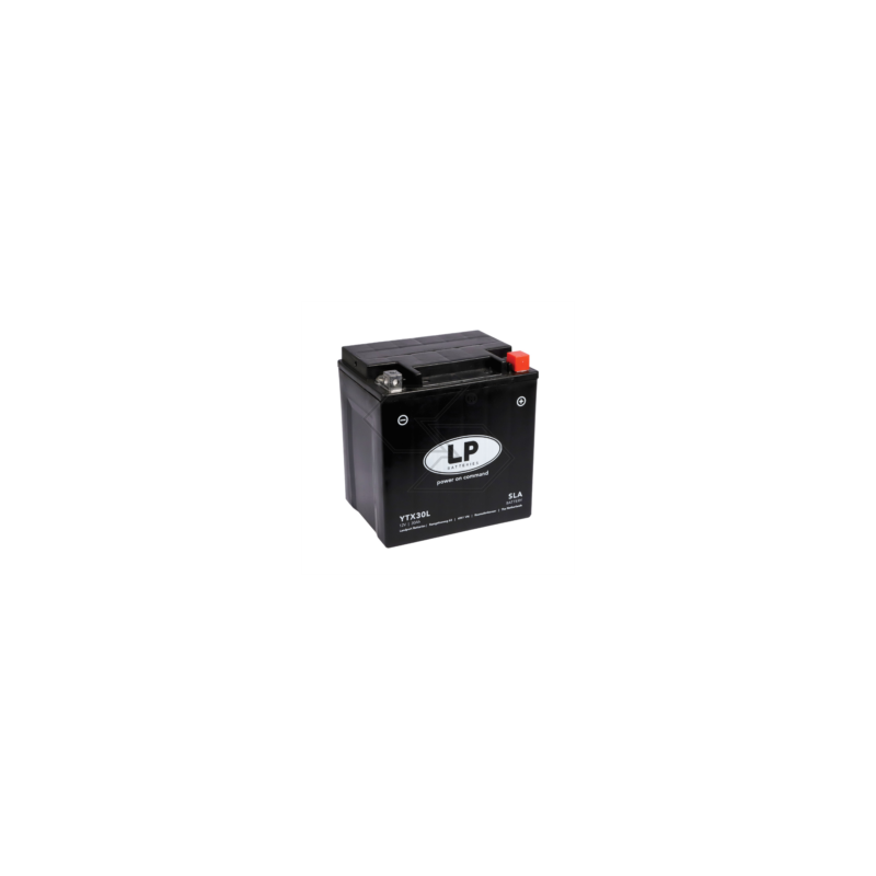 Batteria SLA YTX30L 12 V - 30 Ah R106318