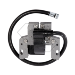 Bobina electrónica BRIGGS 495859 R102218 | NewgardenParts.com