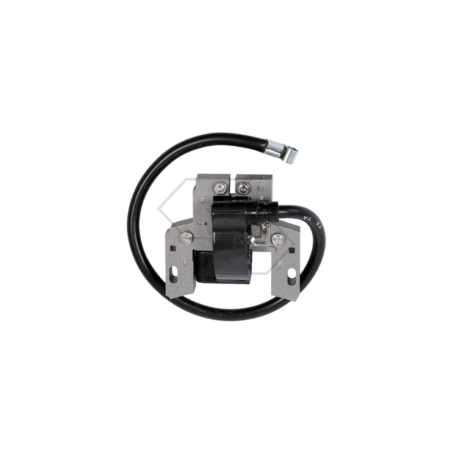 Bobina electrónica BRIGGS 495859 R102218 | NewgardenParts.com