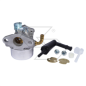 Briggs &amp- Stratton 798653 Originalvergaser