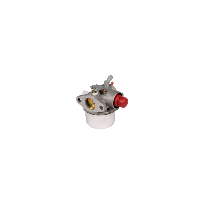 Carburateur compatible avec TECUMSEH LEV105-120 R120732